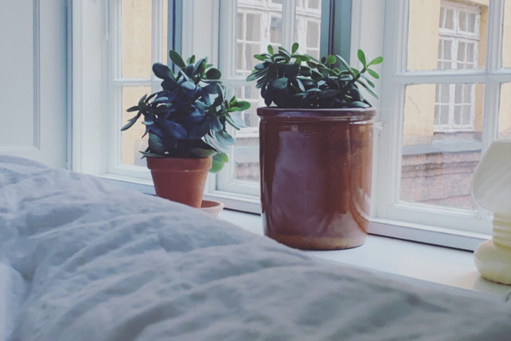 Light and quite appartment placed in center of CPH - 2