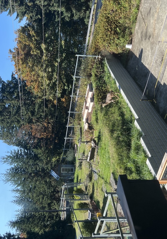 home swap in Langley, Washington (State)