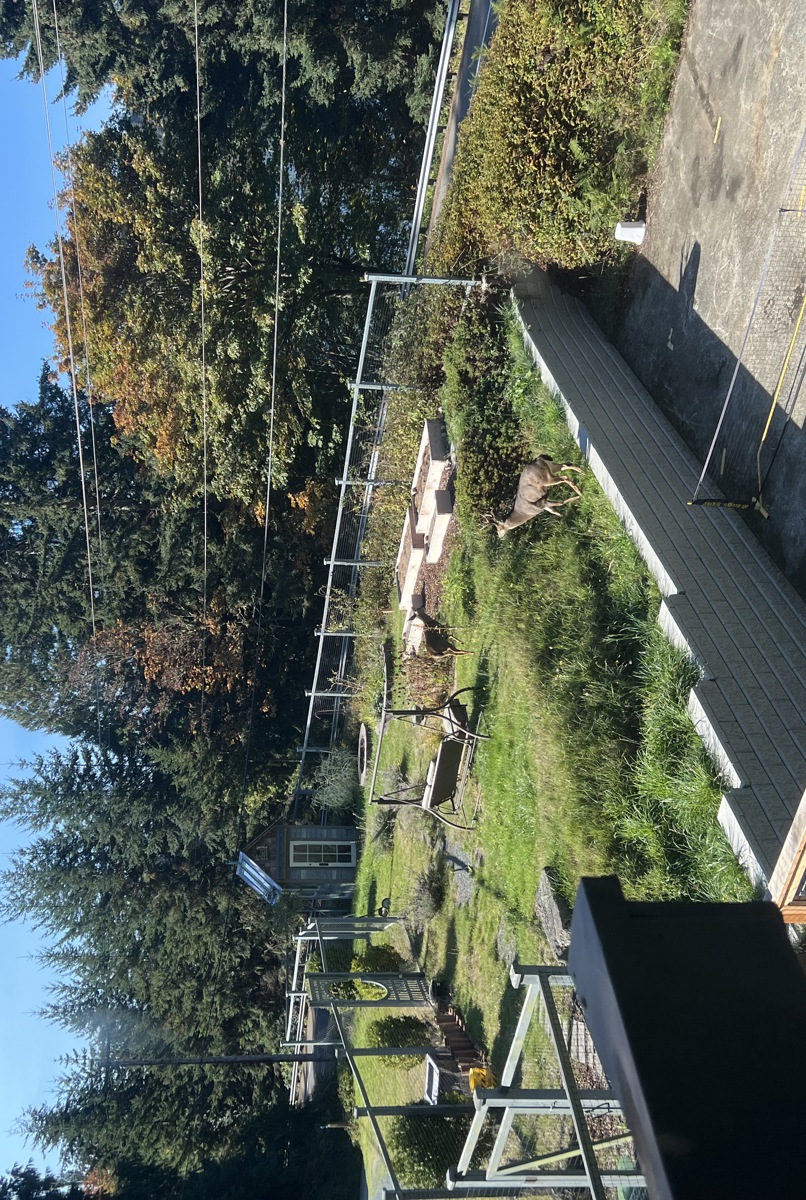🌲 Peaceful Lakeview Retreat on Whidbey Island