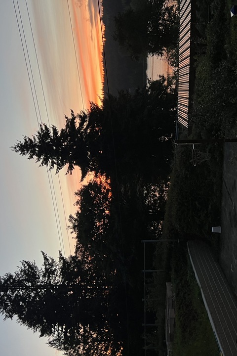 🌲 Peaceful Lakeview Retreat on Whidbey Island - 1