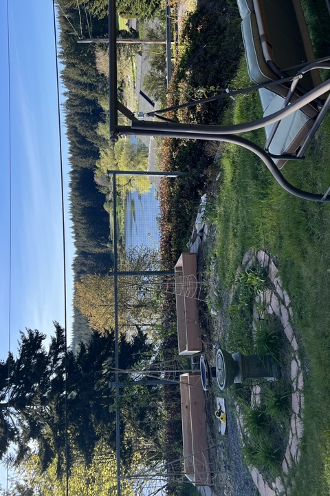 🌲 Peaceful Lakeview Retreat on Whidbey Island - 3