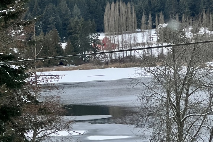 🌲 Peaceful Lakeview Retreat on Whidbey Island - 2