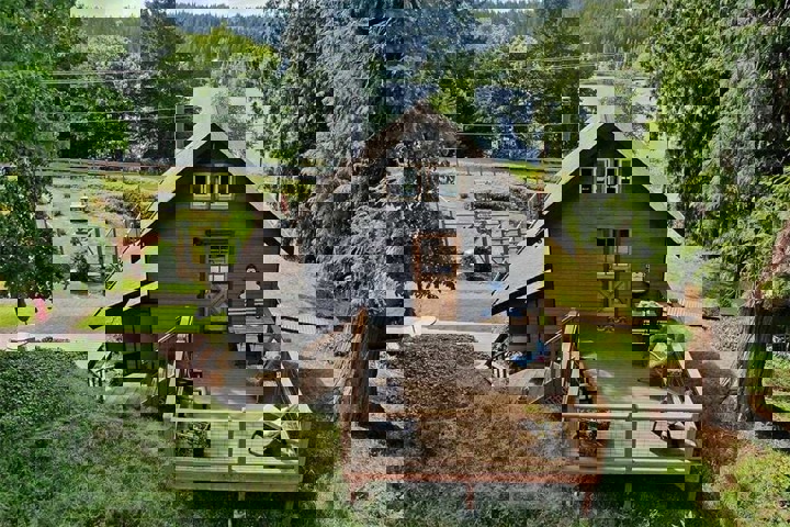 🌲 Peaceful Lakeview Retreat on Whidbey Island - 5