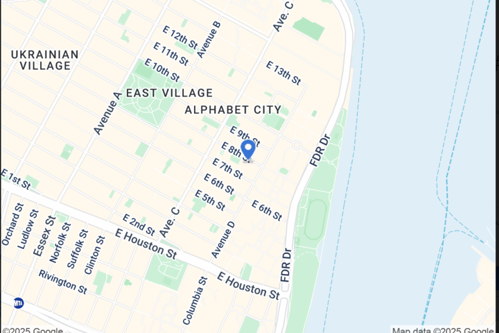 East Village Minimalist Oasis - 7