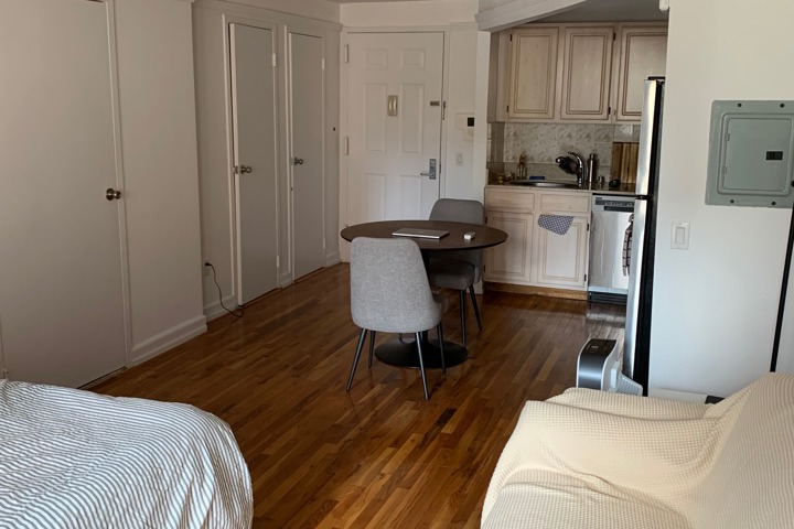 East Village Minimalist Oasis - 1