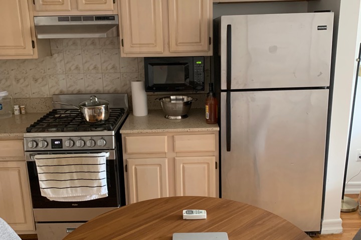 East Village Minimalist Oasis - 2