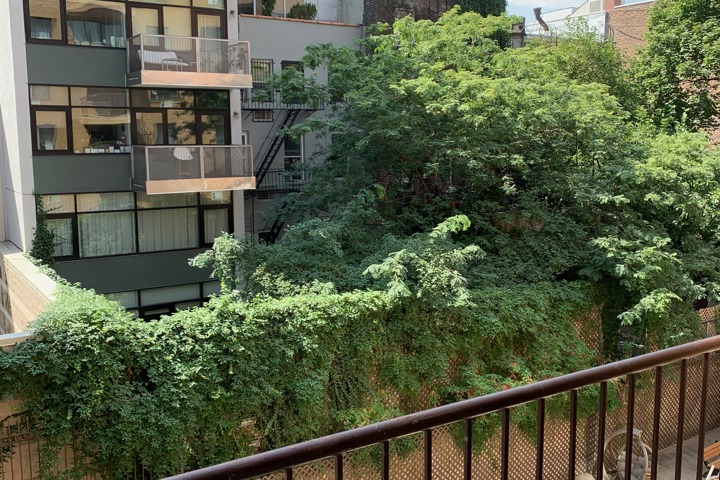 East Village Minimalist Oasis - 5