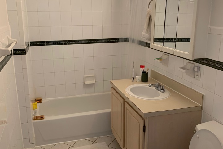 East Village Minimalist Oasis - 4