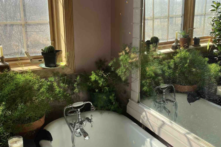 Eclectic, Secluded Cabin + "Tiny" Bonus Office - 4