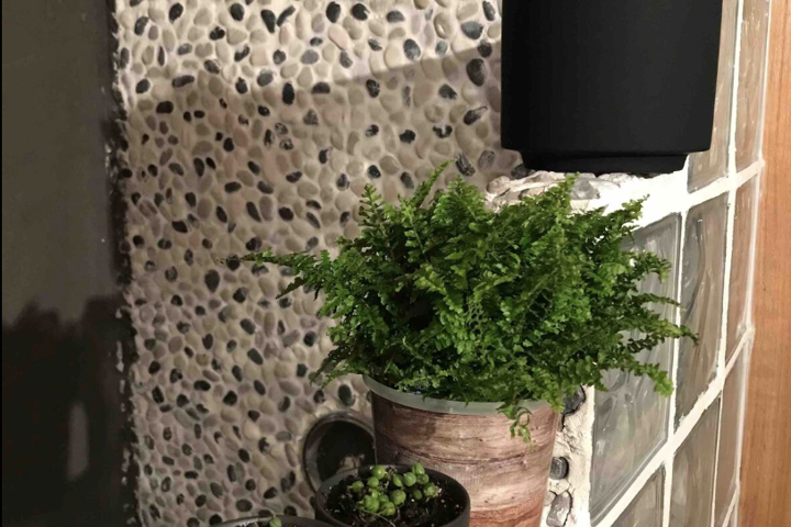 Eclectic, Secluded Cabin + "Tiny" Bonus Office - 7