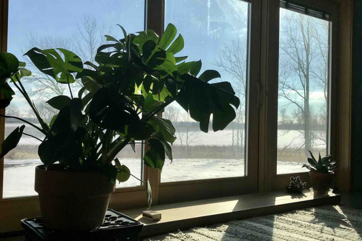 Eclectic, Secluded Cabin + "Tiny" Bonus Office - 5