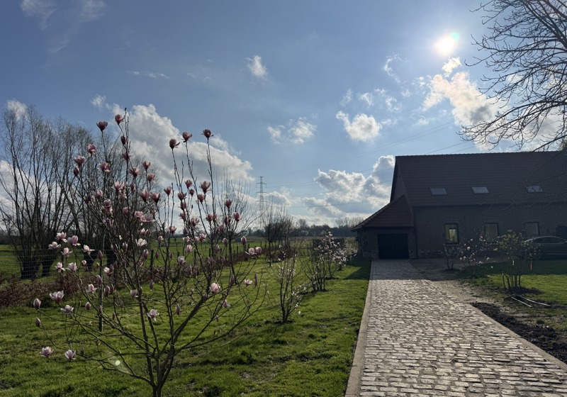 home swap in Sint-Pieters-Leeuw, Belgium