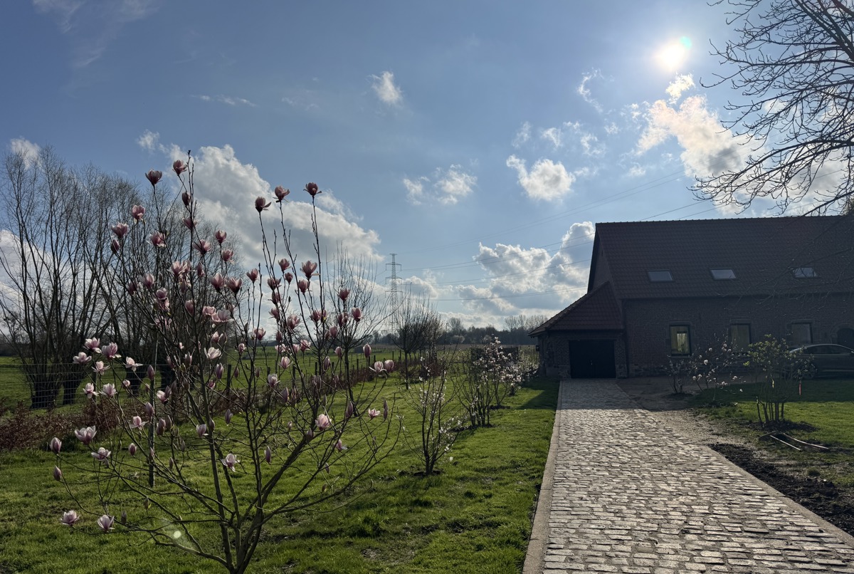 An idyllic villa in a peaceful setting.