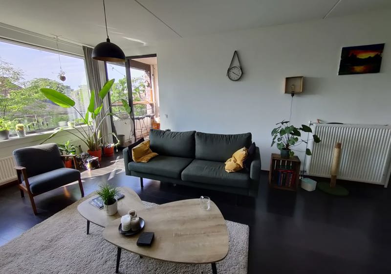 home swap in Breda, The Netherlands