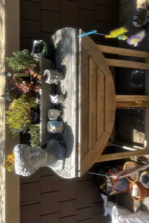 Gorgeous, clean townhouse in quiet, peaceful area - 1