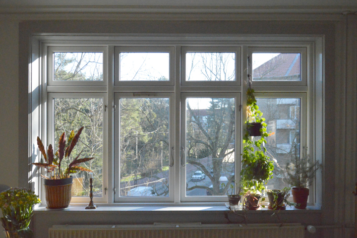 Cosy Artist Appartment with Green View - 2