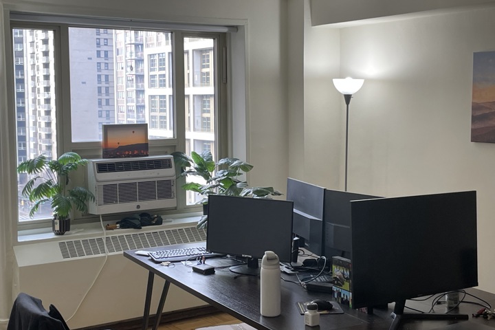 Spacious downtown New York apartment - 1