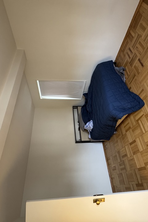 Spacious downtown New York apartment - 3