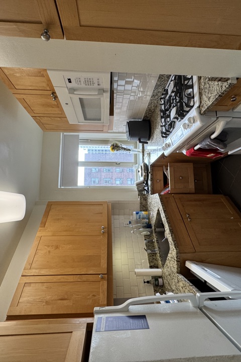 Spacious downtown New York apartment - 4