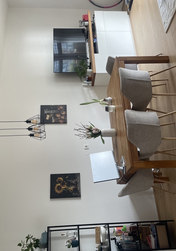 home swap in Vienna, Austria