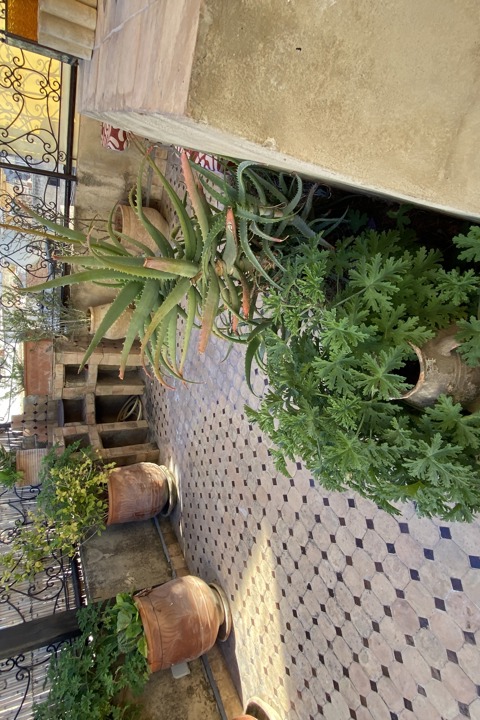 Traditional house in Fez Medina - 8