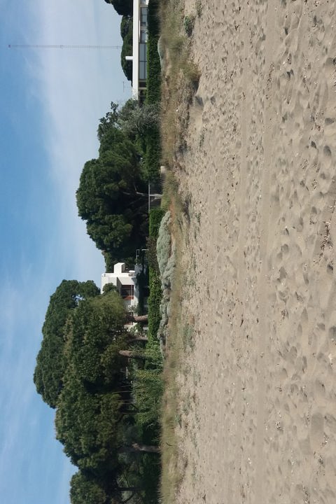 Endeless summer - 5
