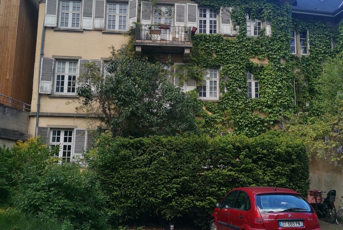 Cozy place in the greens in the heart of the city