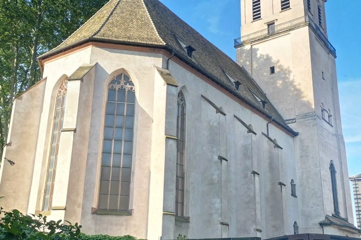 Cozy place in the greens in the heart of the city - 16