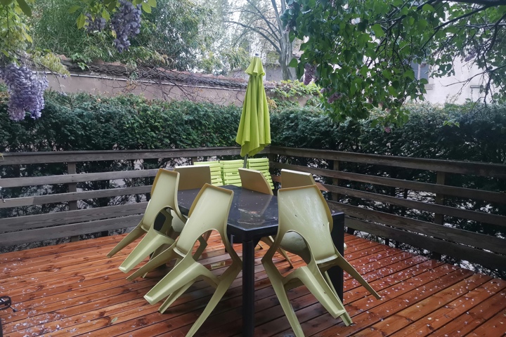 Cozy place in the greens in the heart of the city - 11