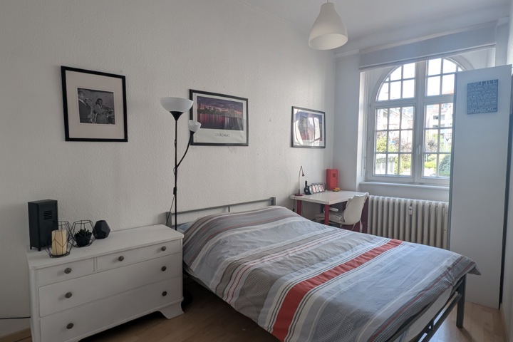 Cozy place in the greens in the heart of the city - 5