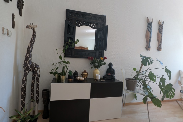 Cozy place in the greens in the heart of the city - 7