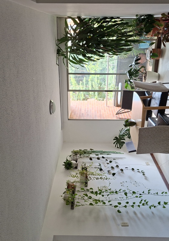 home swap in Medellin, Colombia