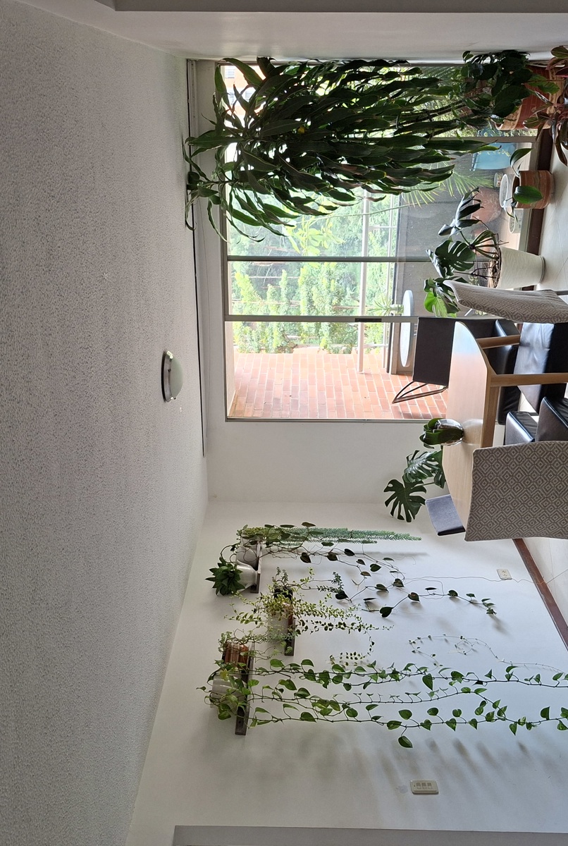 Quiet and cozy apartment full of light and nature