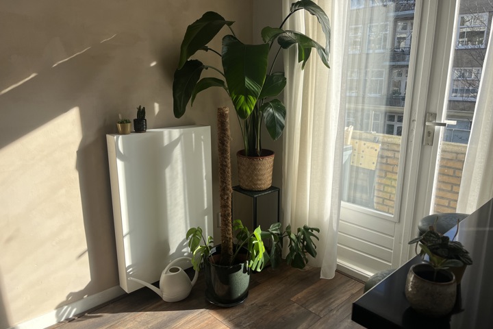 Cosy and modern apartment in Amsterdam west - 7