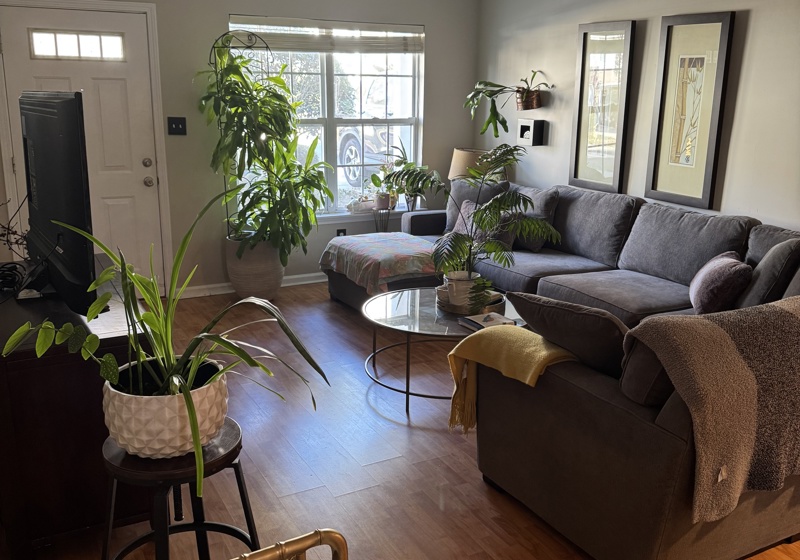 home swap in Charlotte, North Carolina