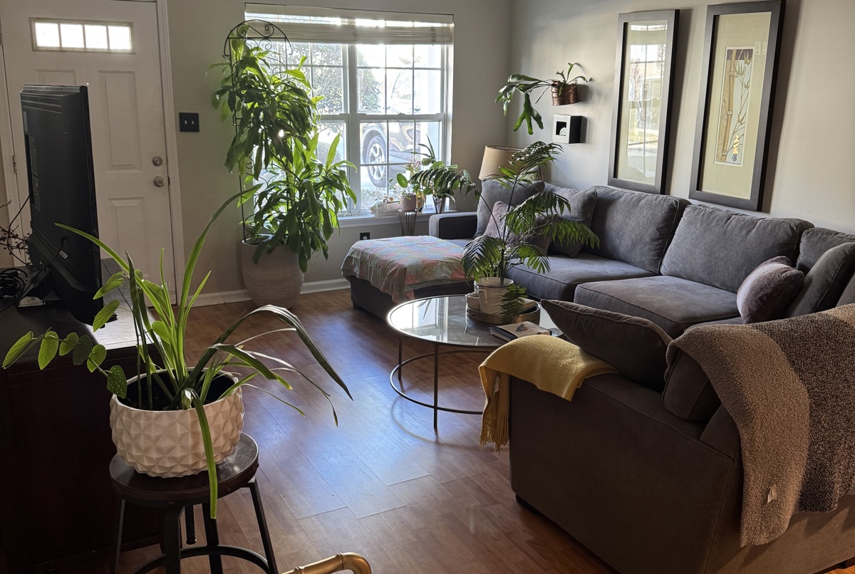 3 BR, two floor townhouse in Ballantyne