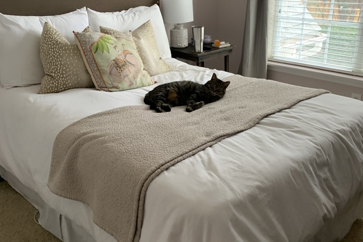 3 BR, two floor townhouse in Ballantyne - 1