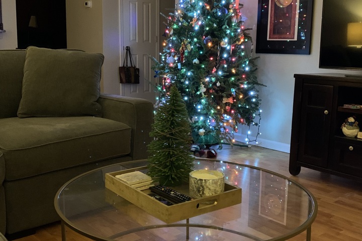 3 BR, two floor townhouse in Ballantyne - 2