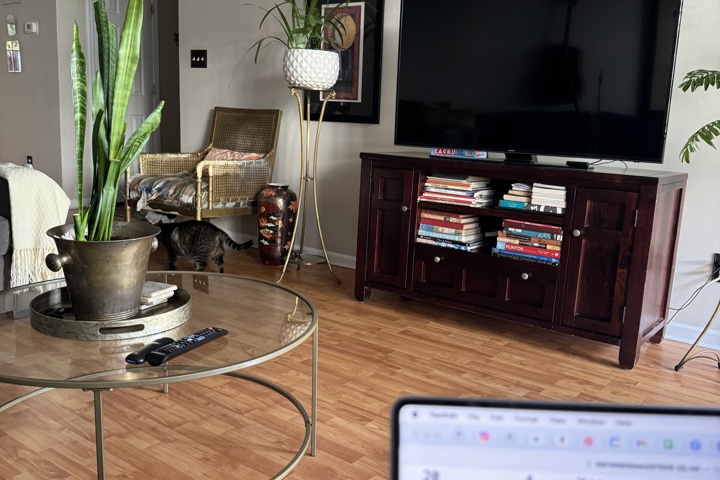 3 BR, two floor townhouse in Ballantyne - 6