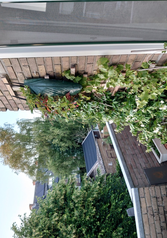 home swap in Haarlem, The Netherlands