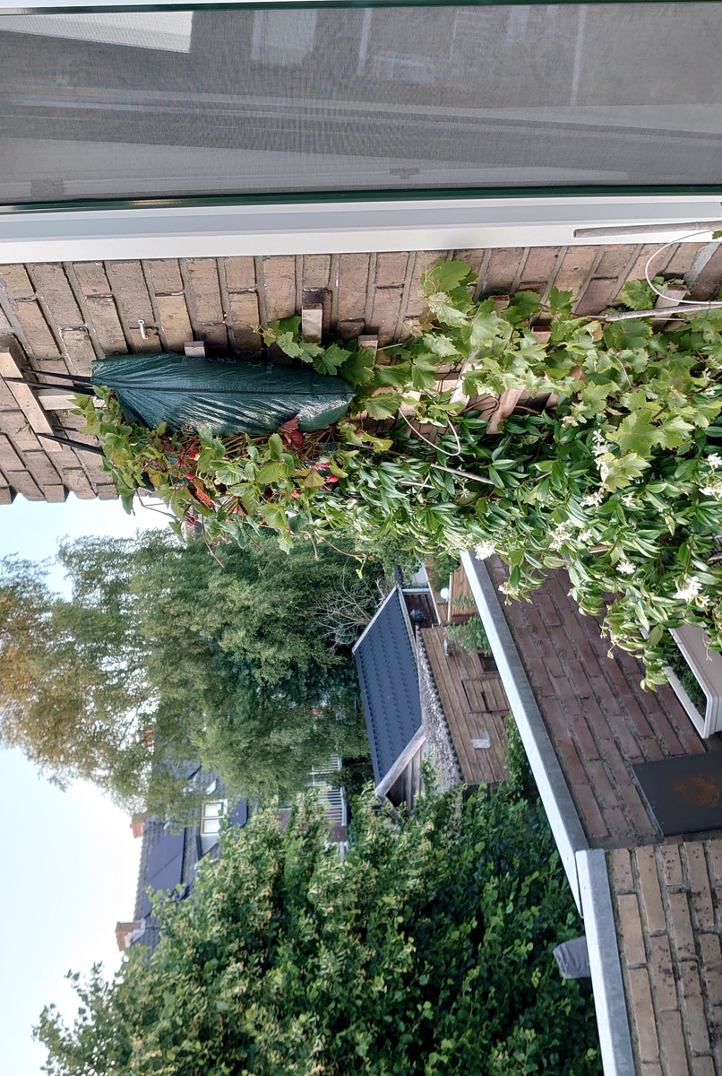 Groot appartement in Haarlem, dicht bij Amsterdam