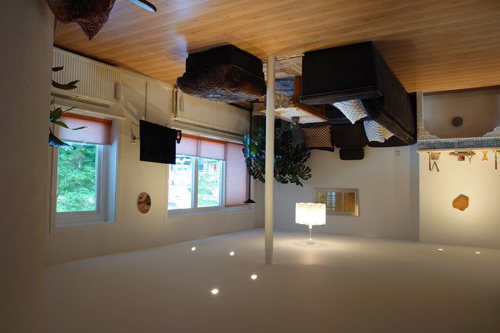 Groot appartement in Haarlem, dicht bij Amsterdam - 1