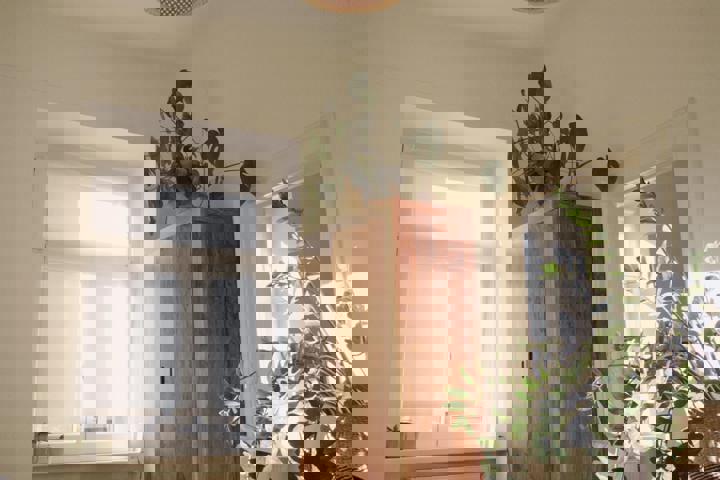 Sweet, cosy and clean little safe space in Vienna - 3