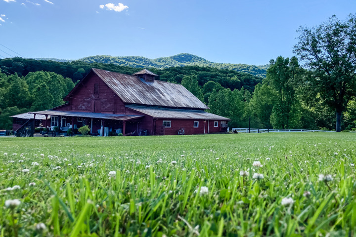 Mountain Laurel Farm - 15