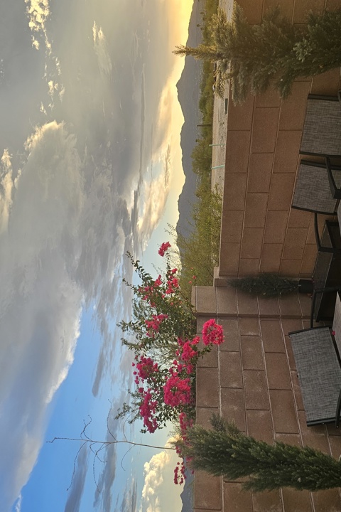 Cozy and Spacious House in the Desert - 1