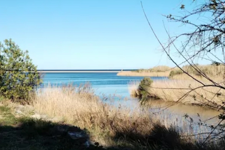 Entre mer et montagne Le Barcarès - 13