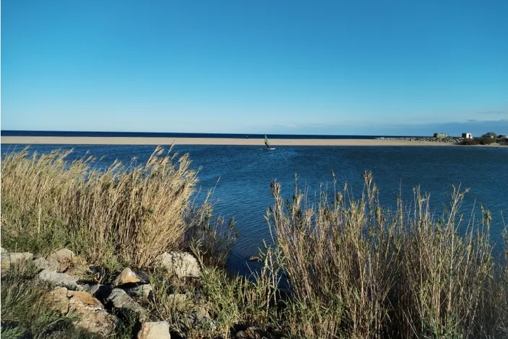 Entre mer et montagne Le Barcarès - 15