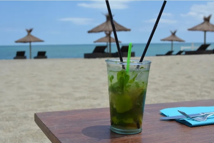 Entre mer et montagne Le Barcarès - 16