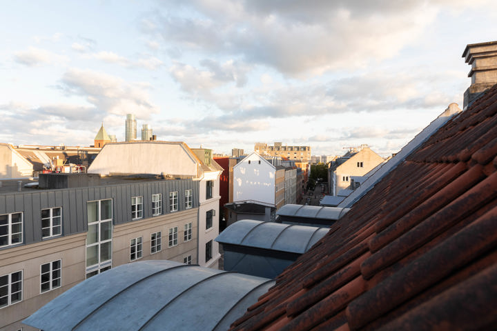 Nordic style apt in trendy Vesterbro, central CPH. - 11