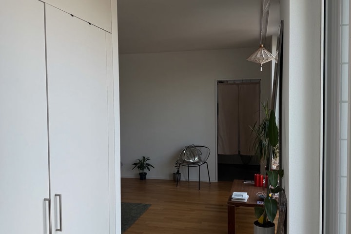 Beautiful apartment close to Lucerne & mountains - 2